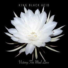 King Black Acid - Victory For Mad Love